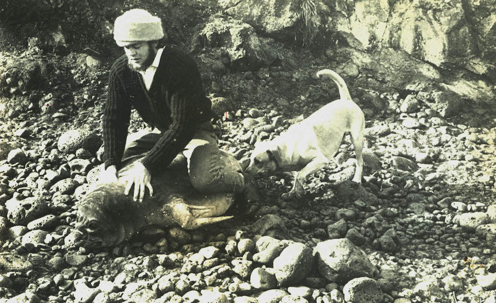 Christo Wolfaardt wrestles a seal pup on Marion Island; dog Oubaas