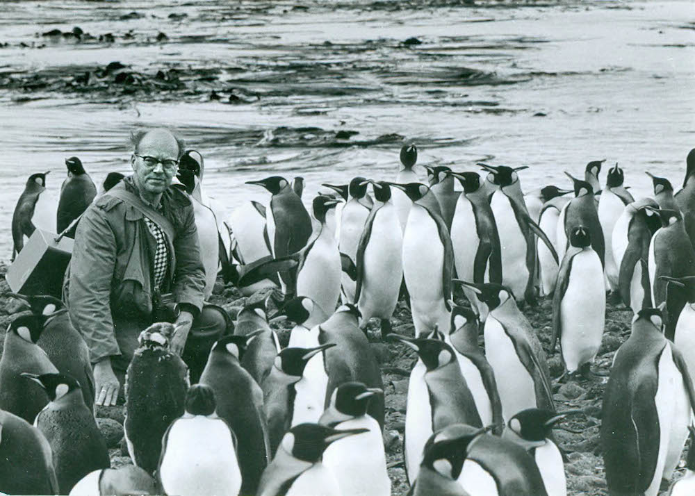 Eduard van Zinderen Bakker Snr on Marion Island 1960s