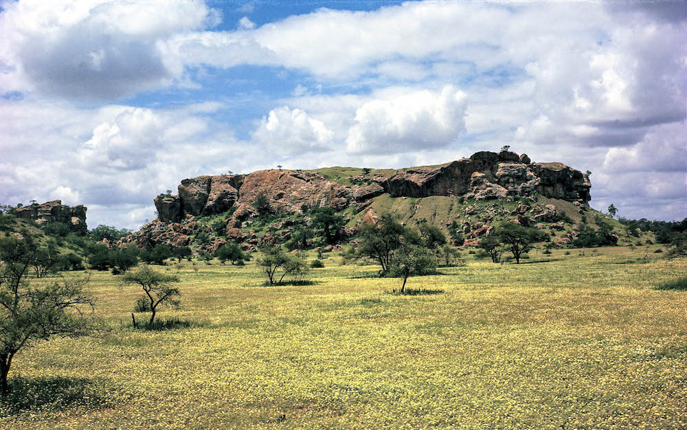 The historial importance of Mapungubwe