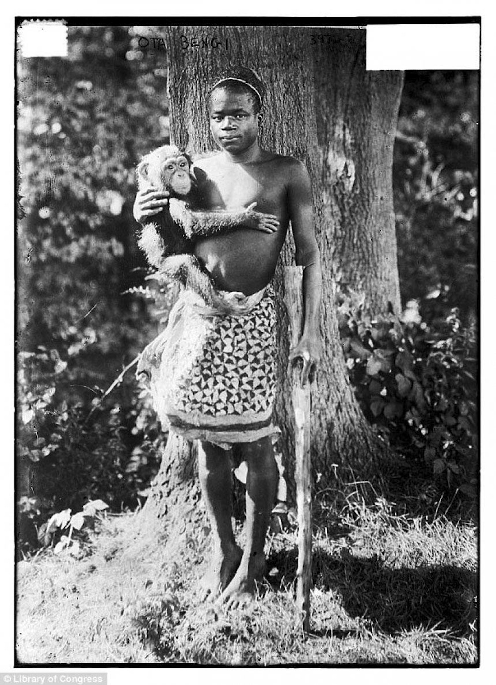 Ota Benga, a Mbuti pygmy from the Congo 1904
