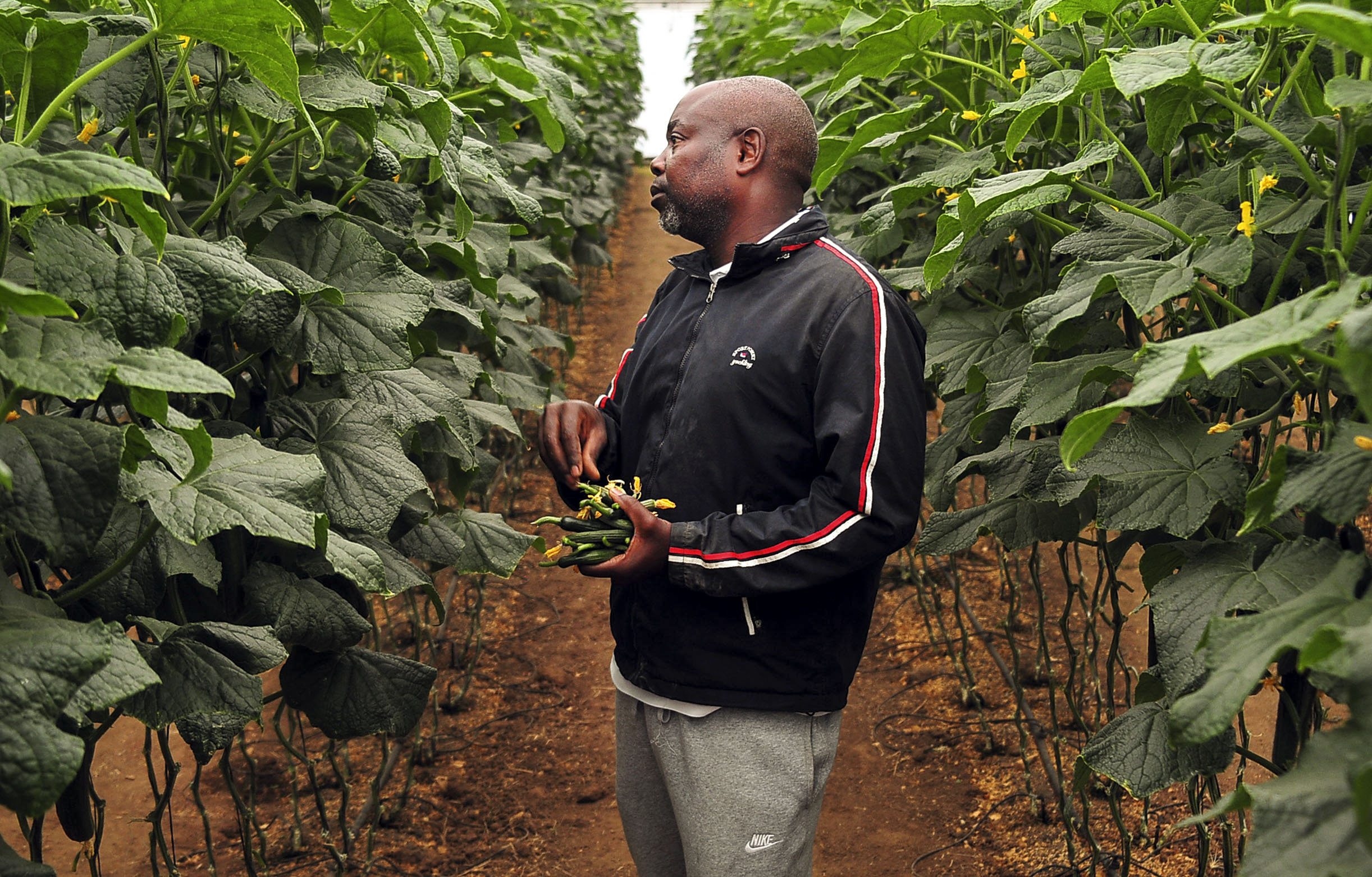 10 Most Effective Methods to Start a Farming Business in South Africa