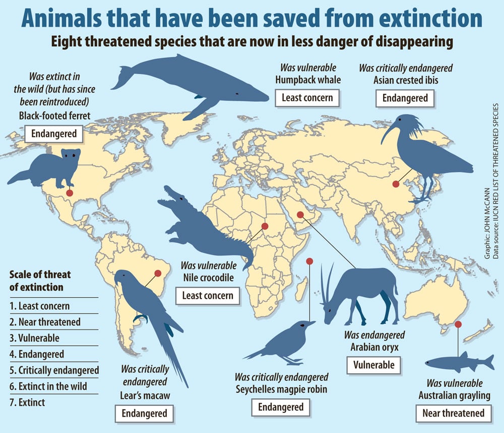 Climate change claims its first mammal extinction - The Mail & Guardian